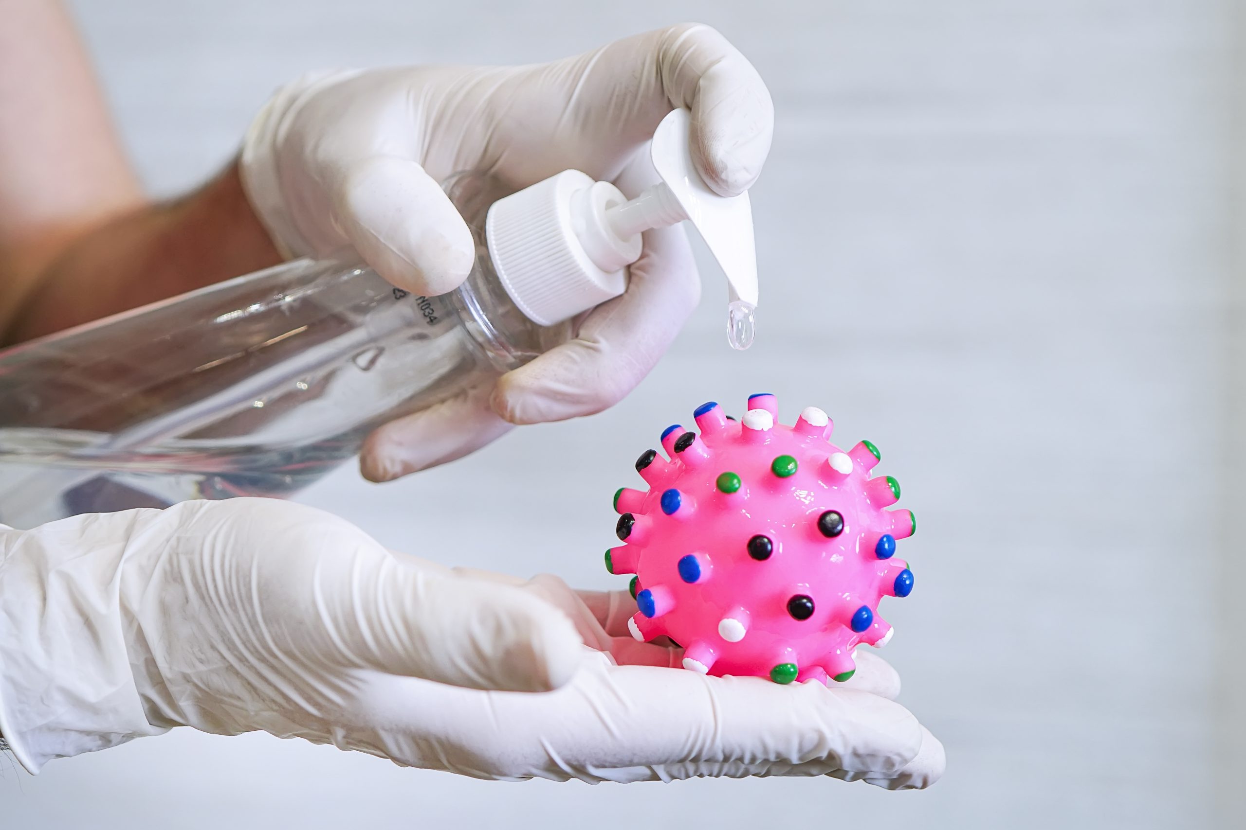 Toy looks like a virus. hand apply spray alcohol antiseptic on pet pink ball at home, animal friendly during quarantine and world epidemic time staying at home.